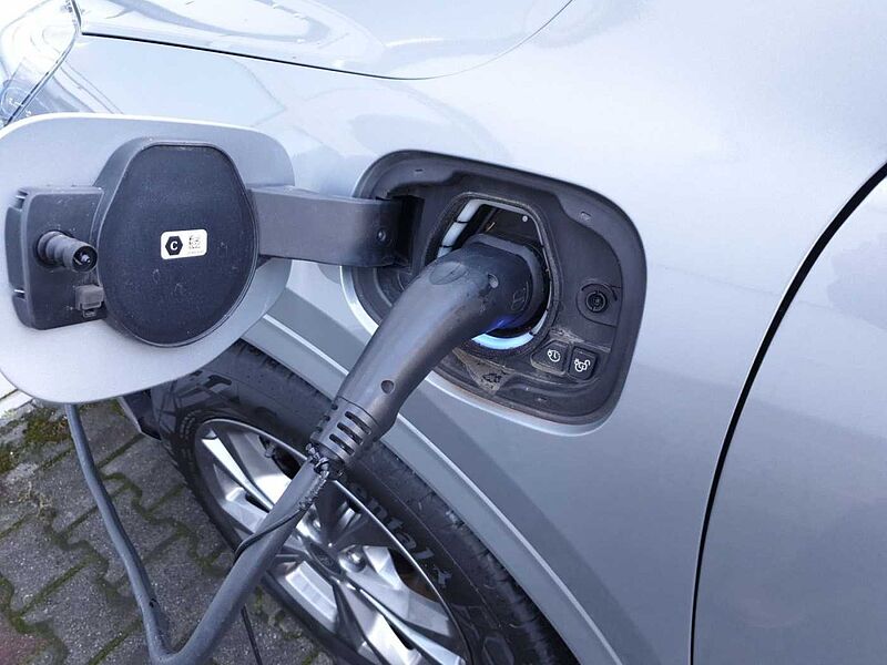 Ford Kuga Plug-In Hybrid ST-Line X / AHK / Winterpaket